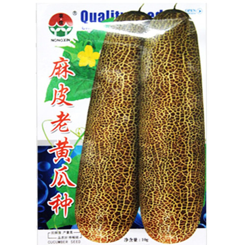 Heirloom Old Cucumber Vegetable Organic Seeds 5grams