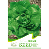 BELLFARM 6 Types Of Lettuce Purple Red Green Vegetables Seeds, Original Package
