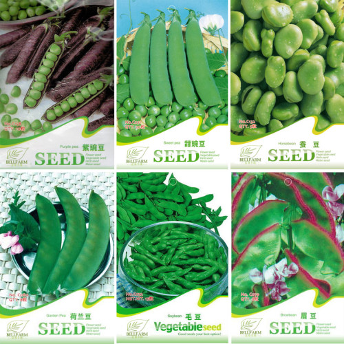BELLFARM Purple Sweet Pea Broad Bean Green Soy Bean Brownbean Bonsai Vegetables Landscaping Seeds