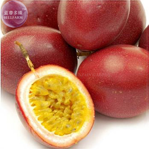 Heirloom Purple Passion Fruits, Professional Pack, 40 Seeds, passiflora edulis sour sweet egg fruit nutritious Granadilla E4246