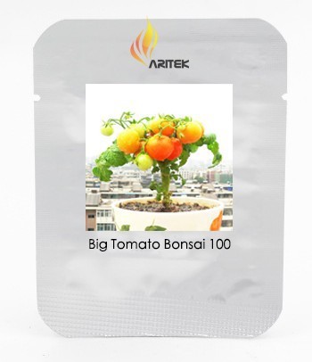 Heirloom Bonsai Middle Dwarf Yellow Tomato Organic Seeds, Professional Pack, 100 Seeds / Pack, Interesting Tasty Tomato E3048