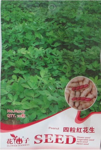 1 Original Pack, 10 seeds / pack, Chinese 4 pcs Peanut Seeds in one Shell with Red Skin Organic Rare Heirloom Peanut #M007