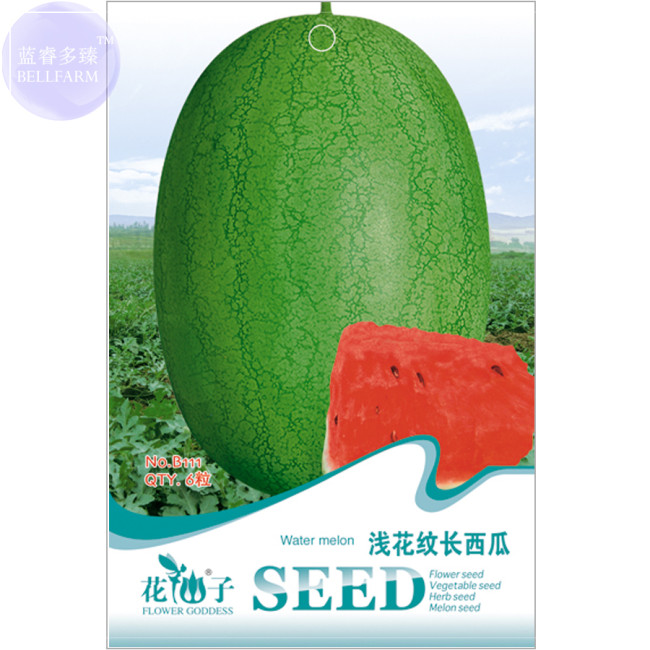 BELLFARM Watermelon Light Green Stripe Red Inside Fruit Seeds, 6 seeds, Original pack, long big oval juicy water melon B111