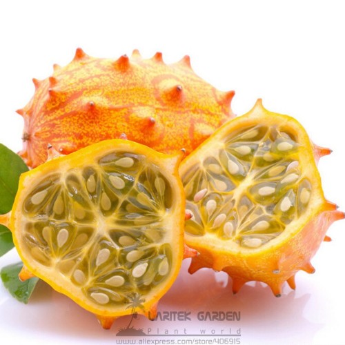 Rare Heirloom African Horned Melon Seeds, Professional Pack, 50 Seeds / Pack, Cucumis Metuliferus Kiwano Tasty Fruit E3001
