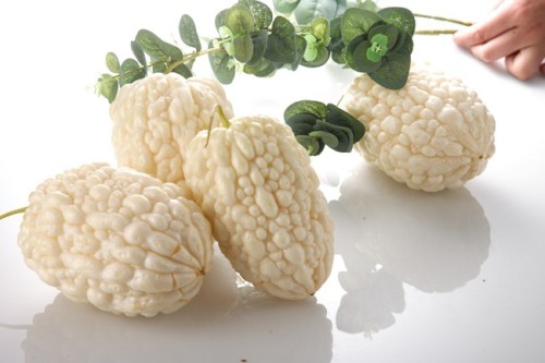 BELLFARM Bitter Gourd Apple-sized White Balsam Pear Seed, only one seed, professional pack, tasty high-yield vegetables BD101H