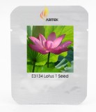 Heirloom Dark Red Strong Fragrant Nelumbo Nucifera Lotus Flower Seeds, Professional Pack, 1 Seed / Pack, Attracting Bees E3134