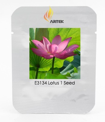 Heirloom Dark Red Strong Fragrant Nelumbo Nucifera Lotus Flower Seeds, Professional Pack, 1 Seed / Pack, Attracting Bees E3134