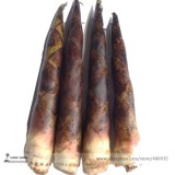 Heirloom Chinese Thin Bamboo Shoots Vegetable Seeds, Professional Pack, 30 Seeds / Pack, Crisp Tasty Vegetables E3180