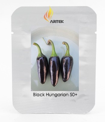 Rare Black Hungarian Hot Chili Pepper Organic Seeds, Professional Pack, 50 Seeds / Pack, Edible Ornamental Plant E3117