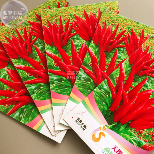 BELLFARM Fire Red Pod Pepper Hot Chilli Vegetable Seeds, 5 packs, 20 seeds/pack, tabasco red cluster pepper garden plants