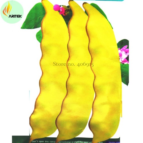 Heirloom Roma I Yellow Bean Seeds, 15 Seeds, Professional Pack, tasty edible vegetables and oil used E3515