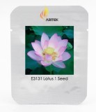 Heirloom Bright Red Nelumbo Nucifera Lotus Flower Pond Seeds, Professional Pack, 1 Seed / Pack, Light Fragrant Flower E3131