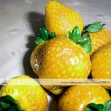 1 Professional Pack, approx 200 Seeds / Pack, Sweet Yellow Alpine Strawberry Seed Non-gmo Organic Fruit #NF344