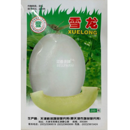 BELLFARM Sweet Melon Hybrid Oval Fruit Seeds, 200 seeds, original pack, white skin light green inside crisp tasty 17% sugar