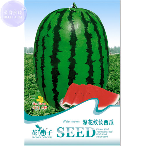 BELLFARM Watermelon Dark Green Stripe Red Inside Fruit Seeds, 6 seeds, Original pack, giant water melon 14% sugar B110