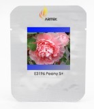 Rare Big Blooming 'Bai Jiao' Pink Tree Peony Flower Seeds, Professional Pack, 5 Seeds, Fragrant Garden Peony E3196