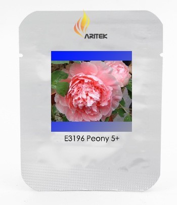Rare Big Blooming 'Bai Jiao' Pink Tree Peony Flower Seeds, Professional Pack, 5 Seeds, Fragrant Garden Peony E3196