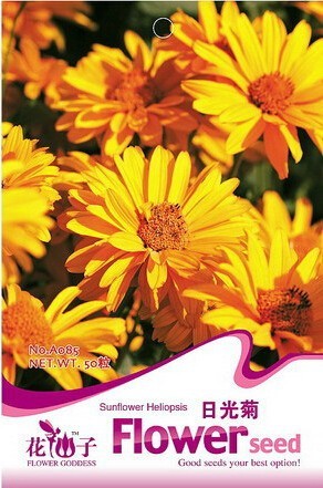1 Original Pack, 50 Seeds / Pack, Heliopsis Helianthoides FALSE SUNFLOWER LORAINE SUNSHINE VARIEGATED #A085