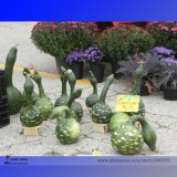 Heirloom Speckled Swan Gourd Lagenaria Siceraria Seeds, Professional Pack, 10 Seeds / Pack E3334