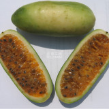 BELLFARM Banana Passion Fruit Seeds, 30 seed, professional pack, pink flower tropical garden passiflora
