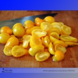 'Yellow Pear' Organic Heirloom Tomato Seeds, Professional Pack, 100 Seeds / Pack, Tasty Sweet Fruit E3319