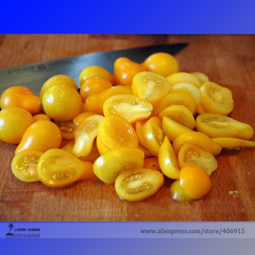 'Yellow Pear' Organic Heirloom Tomato Seeds, Professional Pack, 100 Seeds / Pack, Tasty Sweet Fruit E3319