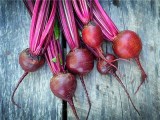 BELLFARM Dark Red Beet Organic Seeds, 50 Seeds, Professional Pack,  sweet tasty blood red flesh vegetables BD095H