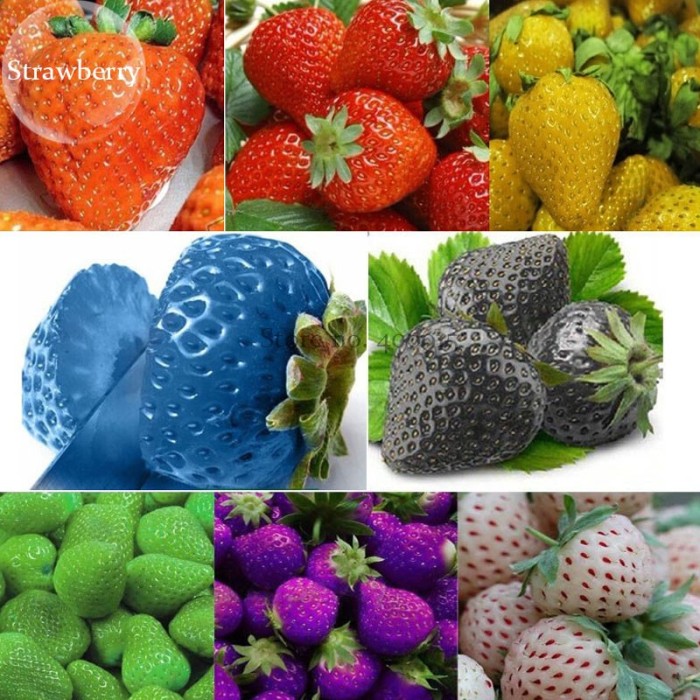 US$ 0.72 - Mixed 9 Types of Strawberry Fruit, 100 seeds, red yellow light  blue black green purple white colors E3785 - www.deargogo.com