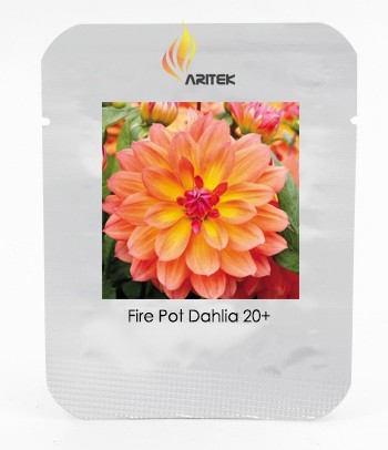 Heirloom 'Fire Pot' Dahlia Flower Seeds, Professional Pack, 20 Seeds / Pack, Bloom First Year Double Blooms Long Bloomers E3232