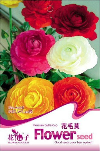 1 Original Pack, 20 Seeds / Pack, Ranunculus Seed Ranunculus Asiaticus Flowers Seeds Hot Home Garden Plant #A078