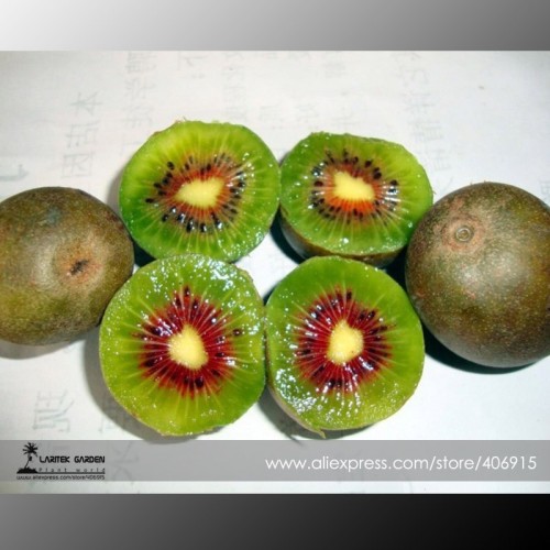 100% True Variery Mini Large Kiwi Fruit Heirloom Chinese Gooseberry Fruit Seeds, Professional Pack, 50 Seeds / Pack E3373