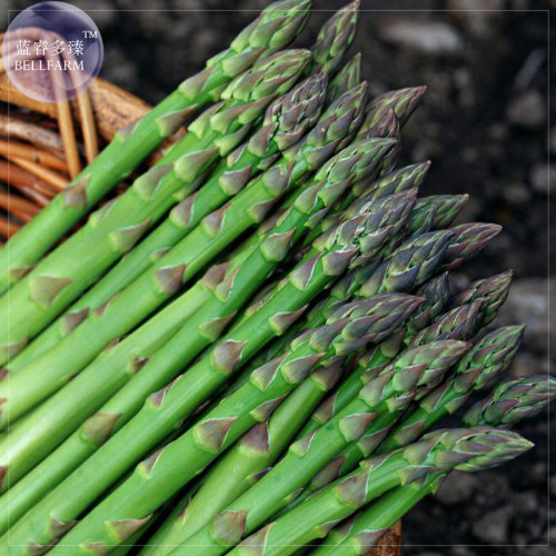 BELLFARM Organic Green Asparagus Vegetables Seeds, Professional Pack, 20 Seeds / Pack, Tasty Green Vegetables E3285