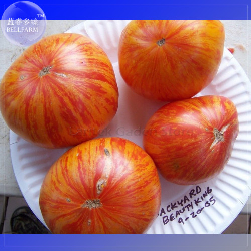 Beauty King Big Tomato Seeds, 100 Seeds, Professional Pack, red color with golden stripe tasty vegetables E4074