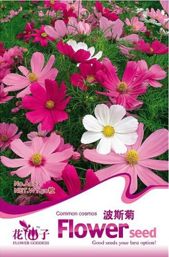 1 Original Pack, 50 Seeds / Pack, Cosmos Sensation Mix Flower Seeds Bipinnatus Mexican aster Annual Herb #A082