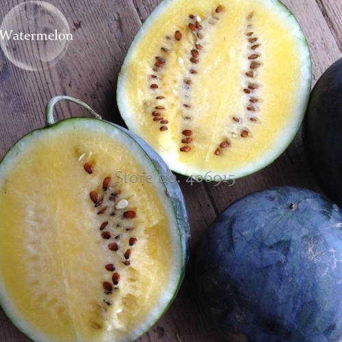 Heirloom Yellow Flesh Janosik Watermelon, 10 Seeds, sweet organic fruits E3909