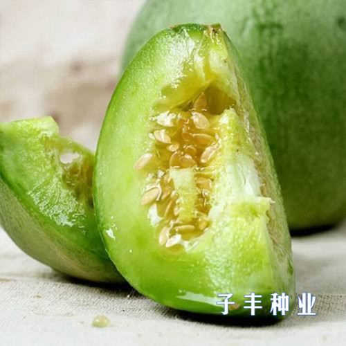 BELLFARM Sweet Melon Hybrid F1 Fruit Seeds, 600 seeds, original pack, green skin green inside crisp fragrant 22% sugar contained