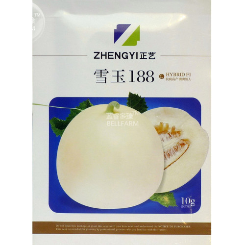 BELLFARM Sweet Melon Hybrid 'Xue Yu 188' Fruit Seeds, 10 grams, original pack, white skin white inside round melon