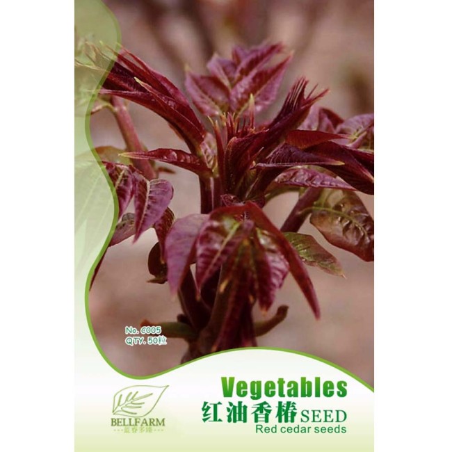 BELLFARM Chinese Toon Seeds Edible Red Oil Toon Sinensis Tree Bonsai, Original Pack, 50pcs, natural organic vegetable IWSC010S