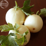 BELLFARM Sweet Melon Hybrid Thin Skin Early-maturing Fruit Seeds, 10 grams, original pack, white skin white inside 18% sugar