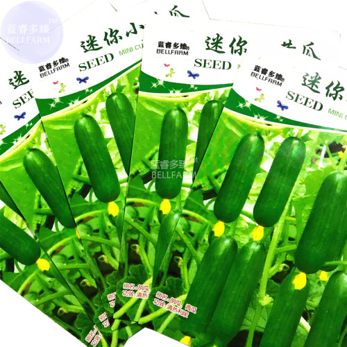 BELLFARM Mini Green Cucumber Vegetable Seeds, 5 packs, 10 seeds/pack, organic tasty crisp indeterminate growth fruits