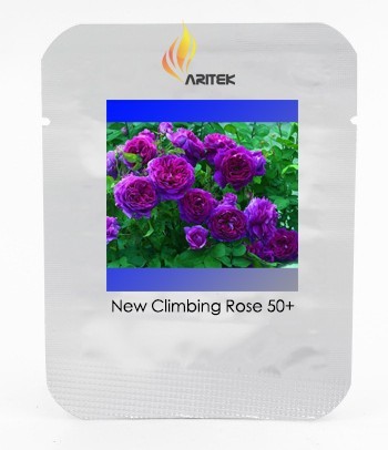 New Dark Purple Climbing Rose Perennial Flower Organic Seeds, Professional Pack, 50 Seeds / Pack, Very Beautiful Garden Flower