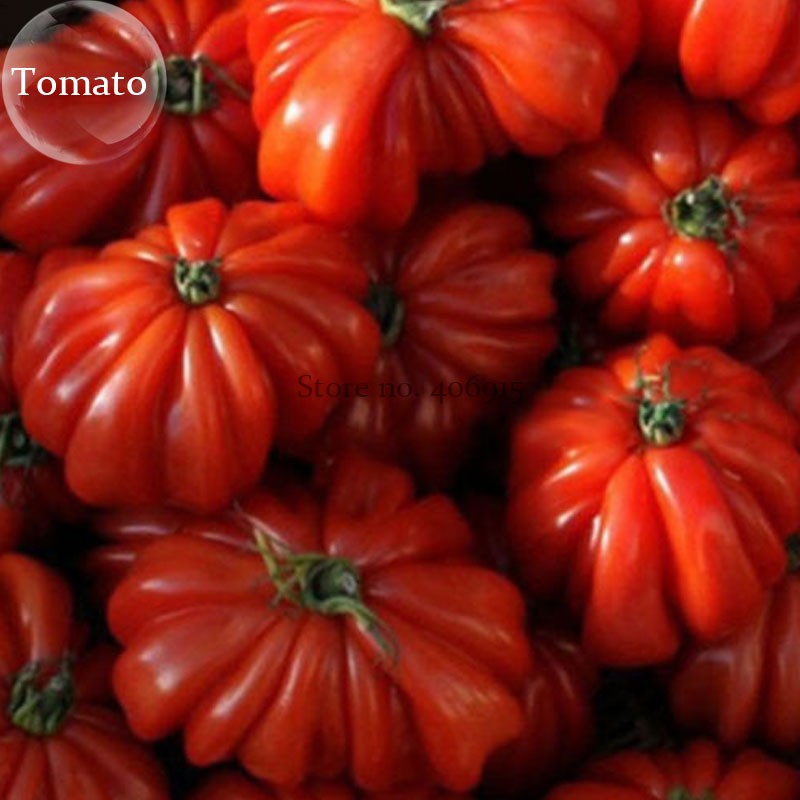 RareZapotecRuffledBrightRedTomato,100seeds,tastyedibleorganicfruitsE3787