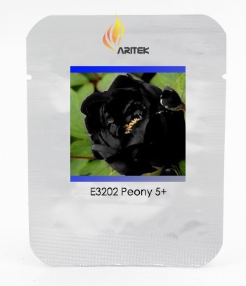 Very Rare Black Subshrubby Peony Flower Seeds, Professional Pack, 5 Seeds / Pack, Paeonia Suffruticos Garden Flower E3202