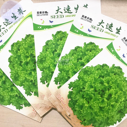BELLFARM Lettuce Fast Growing Vegetable Organic Seeds, 5 packs, 200 seeds/pack, romaine lettuce tasty for salad