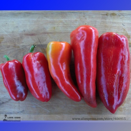Heirloom Lipstick Long Red Sweet Pepper Organic Seeds, Professional Pack, 50 Seeds / Pack, Tasty Vegetables E3115