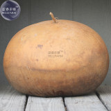 BELLFARM Giant African Basket Gourd Lagenaria Siceraria Seeds, Professional Pack, 10 Seeds / Pack E3333