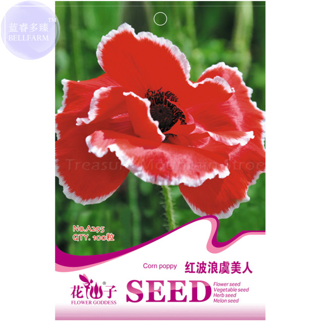 BELLFARM Corn Poppy Corrugated Red Double Flowers, 100 Seeds, Original Pack, red big blooms with white edge A295