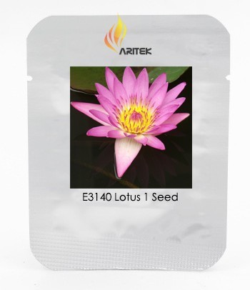 Heirloom Red American Water Lily 'the Madonna' Flower Seeds, Professional Pack, 1 Seed / Pack, Nymphaea Live Seed E3140