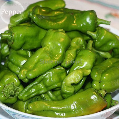 Heirloom Organic Green Red White Hot Chilli Pepper Vegetables, 20 Mixed Seeds, green nutritious vegetables E3903