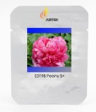 Heirloom 'Jin Zhang Fu Rong' Big Red Peony Tree Seeds, Professional Pack, 5 Seeds / Pack, Strong Fragrant Flower E3198